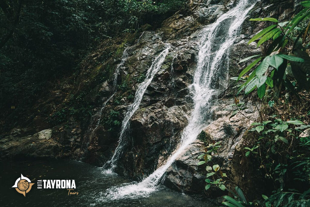 Minca an unforgettable destination