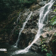 Reserva aquí el tour a Minca Fincas Cafeteras
