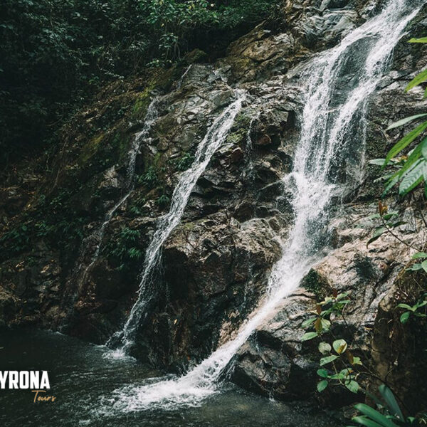 Reserva aquí el tour a Minca Fincas Cafeteras
