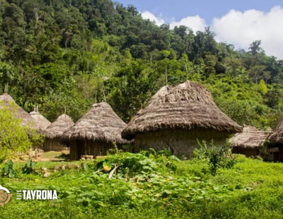 Razones y Beneficios del cierre periódico del Parque Tayrona