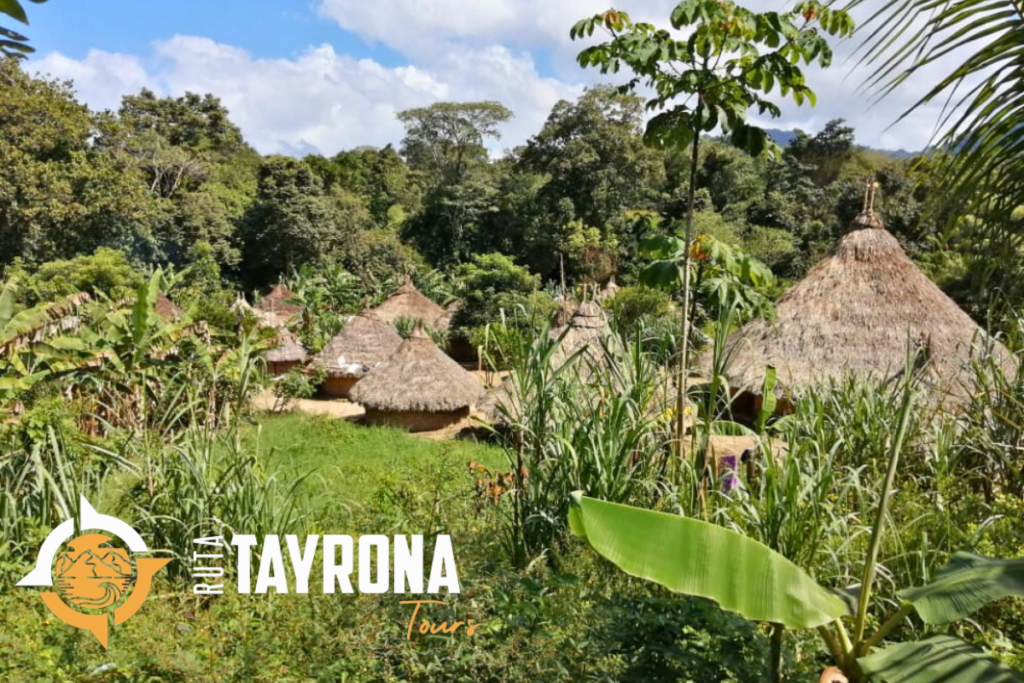 5 cosas que no debes olvidar cuando visites el Parque Tayrona